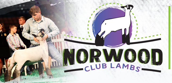 Norwood Club Lambs