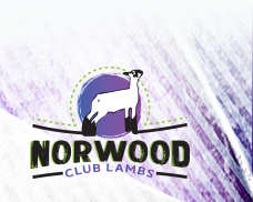 Norwood Club Lambs